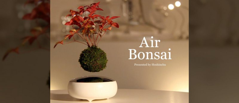 air-bonsai-el-primer-bonsai-flotante-con-levitacion-magnetica